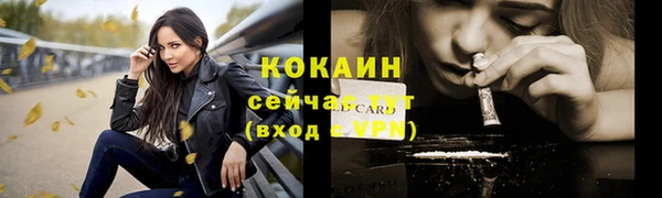 винт Карпинск