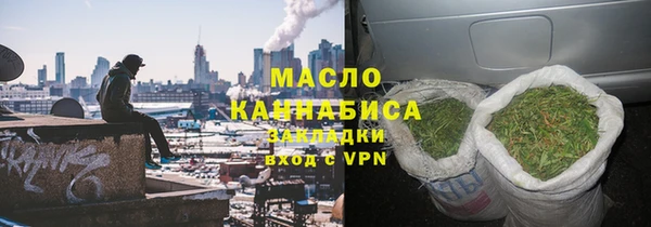 гашик Каменка