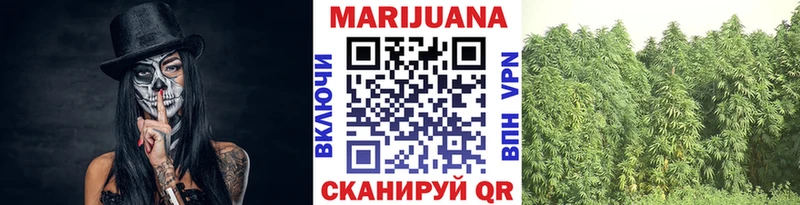 Купить закладки Поворино Конопля ГИДРОПОН